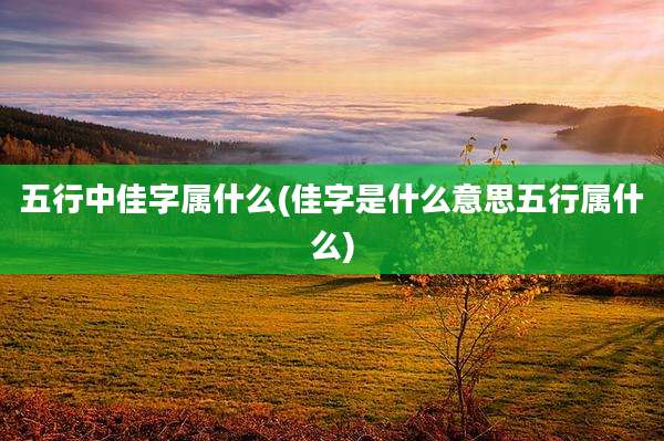 五行中佳字属什么(佳字是什么意思五行属什么)
