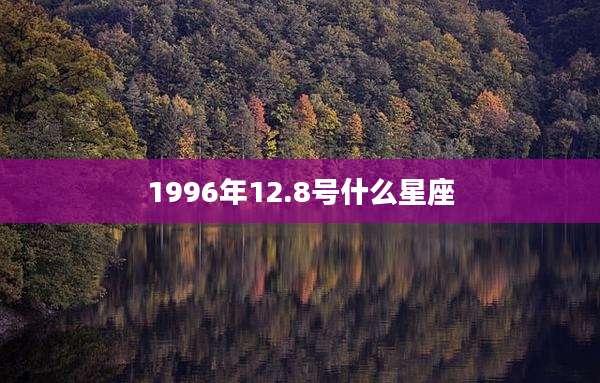1996年12.8号什么星座
