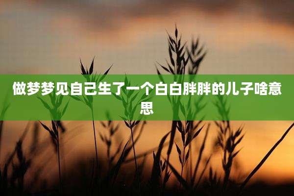 做梦梦见自己生了一个白白胖胖的儿子啥意思
