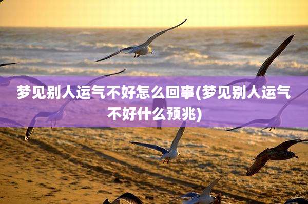 梦见别人运气不好怎么回事(梦见别人运气不好什么预兆)