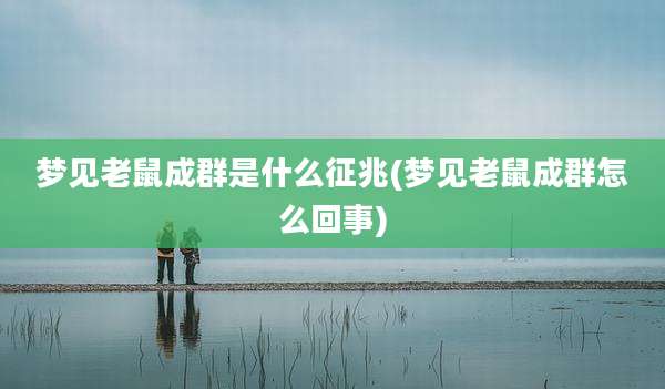 梦见老鼠成群是什么征兆(梦见老鼠成群怎么回事)