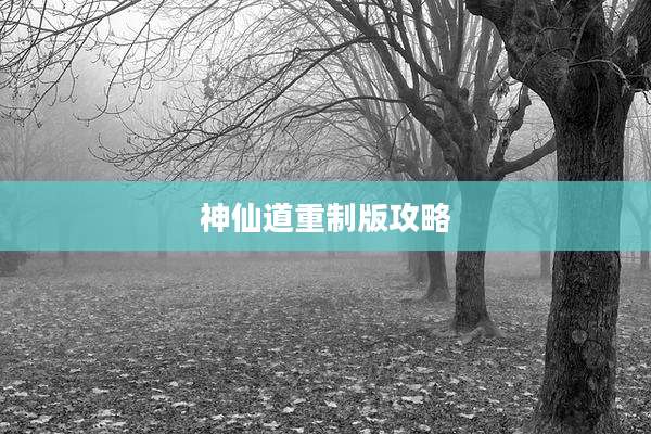 神仙道重制版攻略