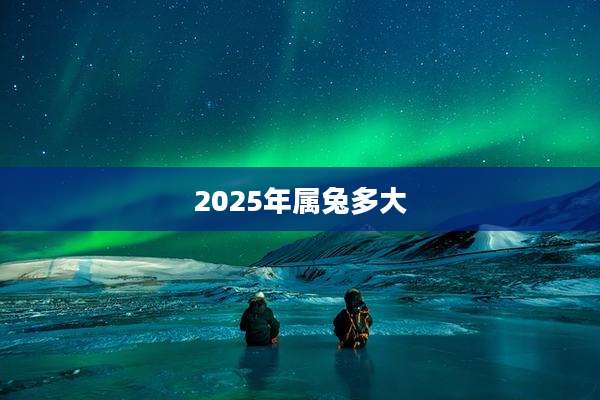 2025年属兔多大