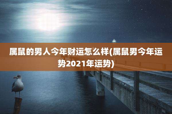 属鼠的男人今年财运怎么样(属鼠男今年运势2021年运势)