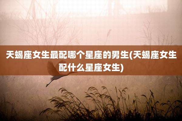 天蝎座女生最配哪个星座的男生(天蝎座女生配什么星座女生)