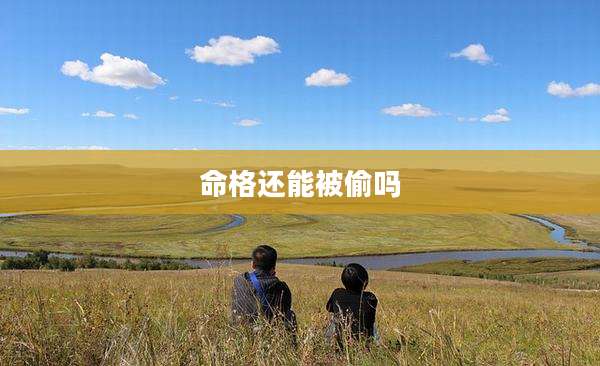 命格还能被偷吗
