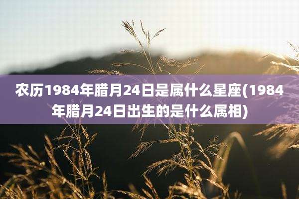 农历1984年腊月24日是属什么星座(1984年腊月24日出生的是什么属相)