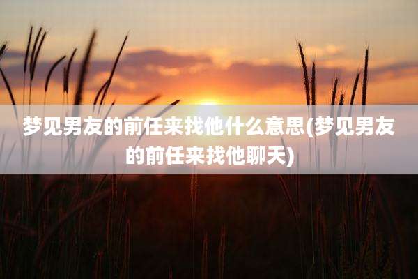 梦见男友的前任来找他什么意思(梦见男友的前任来找他聊天)