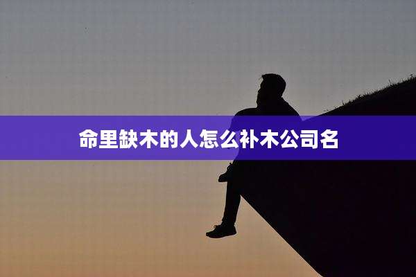 命里缺木的人怎么补木公司名