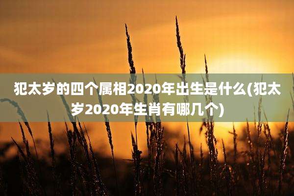 犯太岁的四个属相2020年出生是什么(犯太岁2020年生肖有哪几个)