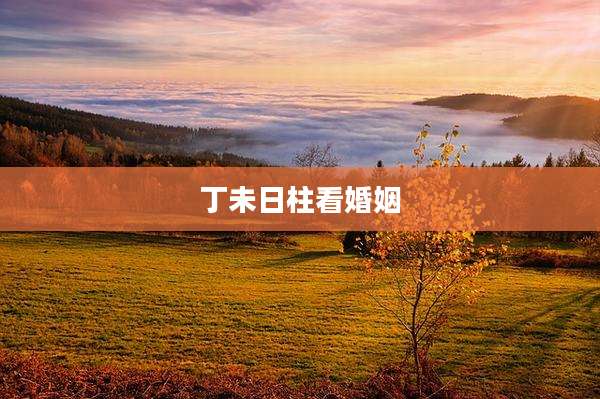 丁未日柱看婚姻