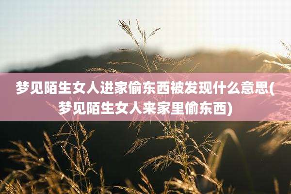 梦见陌生女人进家偷东西被发现什么意思(梦见陌生女人来家里偷东西)