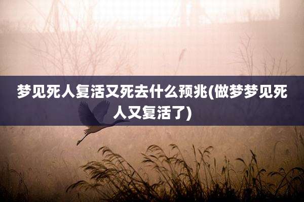 梦见死人复活又死去什么预兆(做梦梦见死人又复活了)