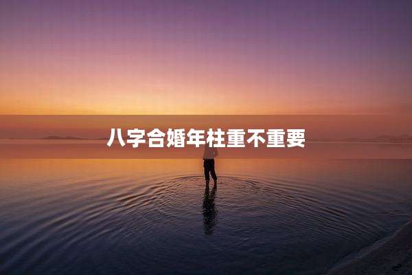 八字合婚年柱重不重要