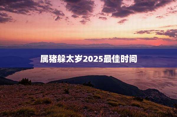 属猪躲太岁2025最佳时间
