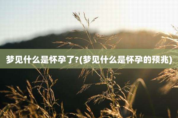 梦见什么是怀孕了?(梦见什么是怀孕的预兆)
