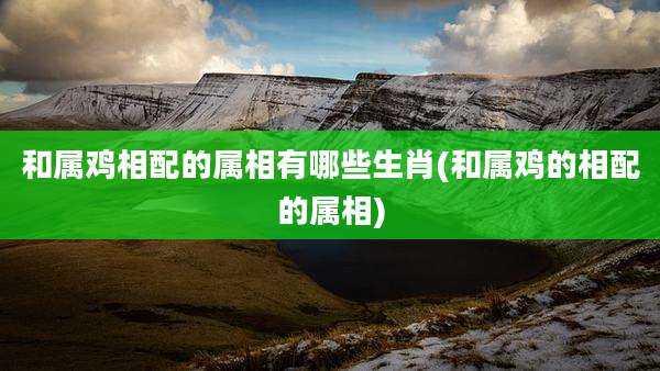 和属鸡相配的属相有哪些生肖(和属鸡的相配的属相)