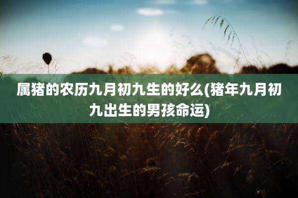 属猪的农历九月初九生的好么(猪年九月初九出生的男孩命运)