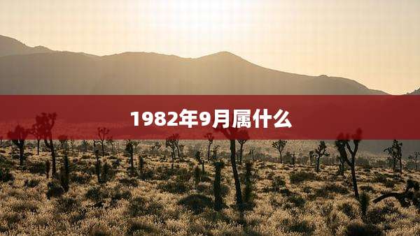 1982年9月属什么