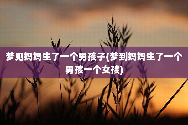 梦见妈妈生了一个男孩子(梦到妈妈生了一个男孩一个女孩)