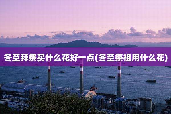 冬至拜祭买什么花好一点(冬至祭祖用什么花)