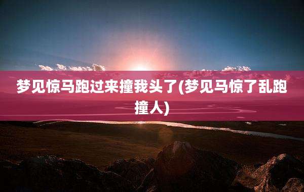 梦见惊马跑过来撞我头了(梦见马惊了乱跑撞人)