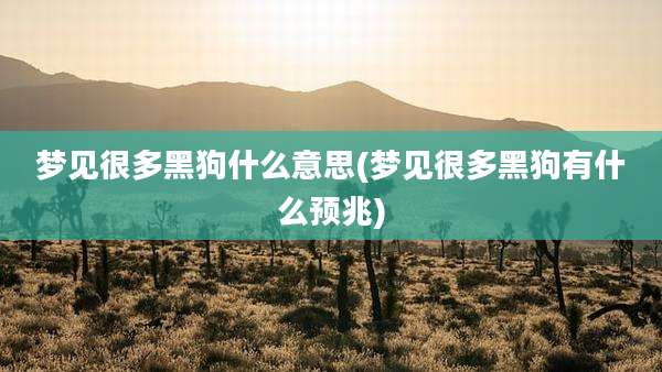 梦见很多黑狗什么意思(梦见很多黑狗有什么预兆)