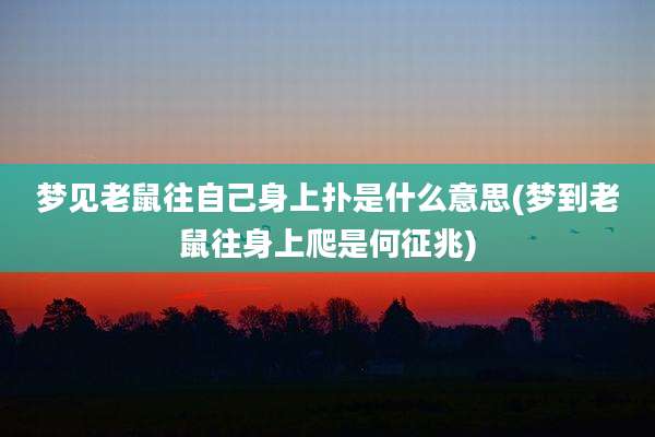 梦见老鼠往自己身上扑是什么意思(梦到老鼠往身上爬是何征兆)
