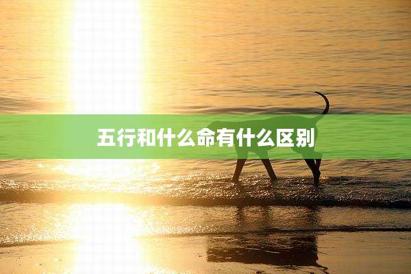 五行和什么命有什么区别