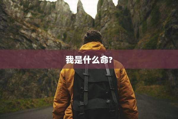我是什么命?