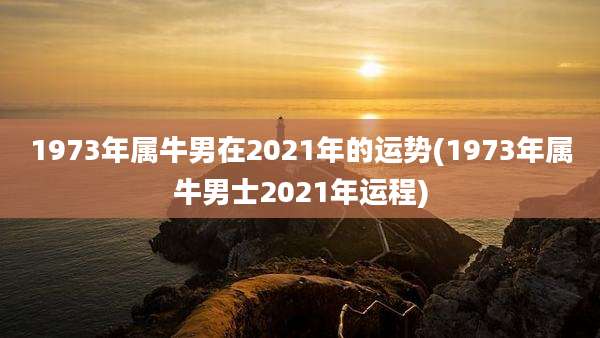 1973年属牛男在2021年的运势(1973年属牛男士2021年运程)