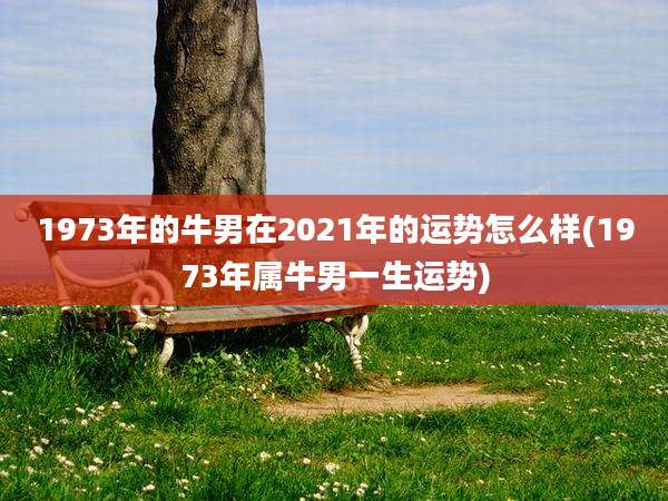 1973年的牛男在2021年的运势怎么样(1973年属牛男一生运势)