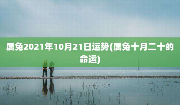 属兔2021年10月21日运势(属兔十月二十的命运)