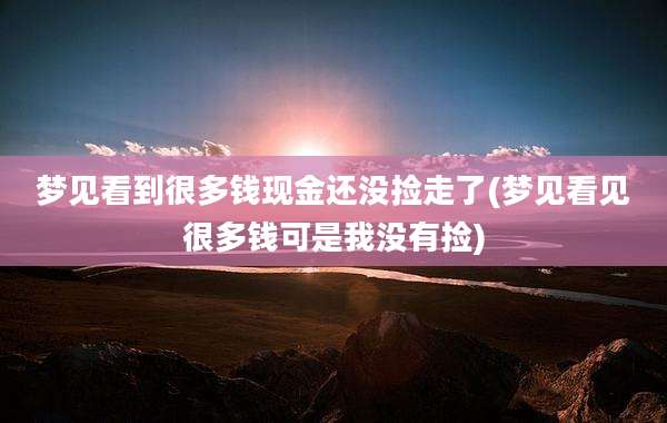 梦见看到很多钱现金还没捡走了(梦见看见很多钱可是我没有捡)