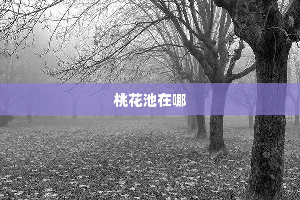 桃花池在哪
