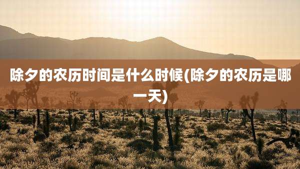 除夕的农历时间是什么时候(除夕的农历是哪一天)
