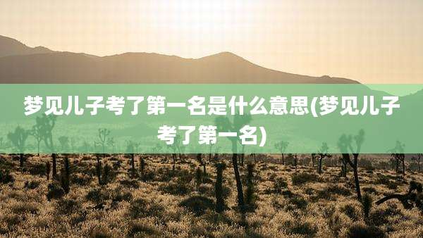 梦见儿子考了第一名是什么意思(梦见儿子考了第一名)