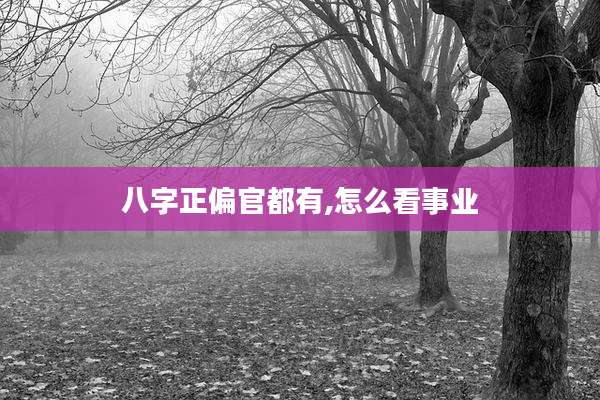 八字正偏官都有,怎么看事业