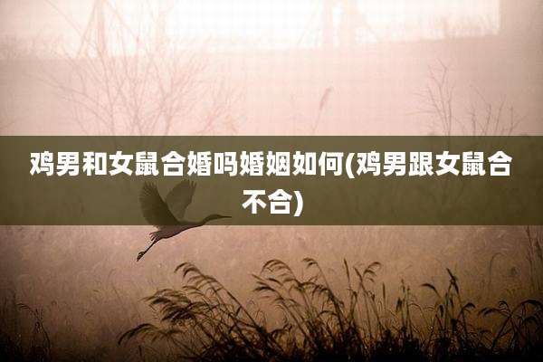 鸡男和女鼠合婚吗婚姻如何(鸡男跟女鼠合不合)
