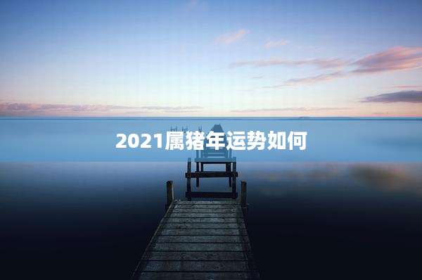 2021属猪年运势如何