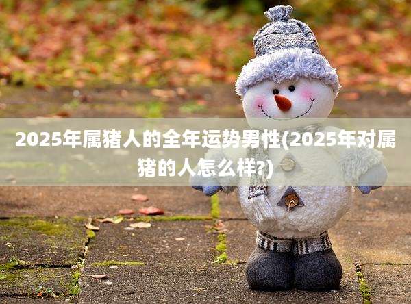 2025年属猪人的全年运势男性(2025年对属猪的人怎么样?)