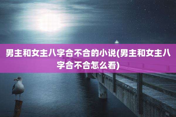 男主和女主八字合不合的小说(男主和女主八字合不合怎么看)