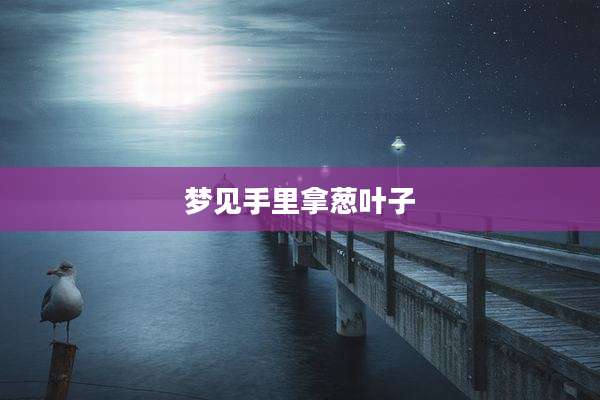 梦见手里拿葱叶子