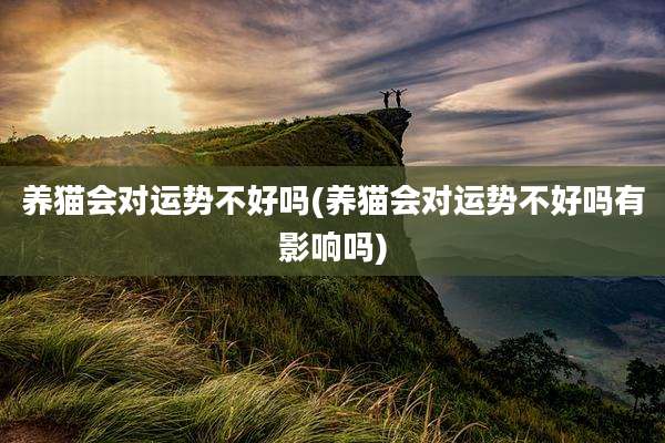 养猫会对运势不好吗(养猫会对运势不好吗有影响吗)
