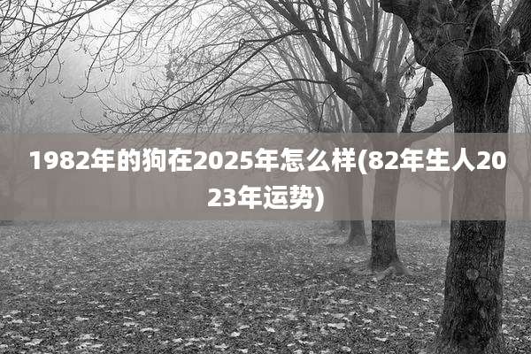 1982年的狗在2025年怎么样(82年生人2023年运势)