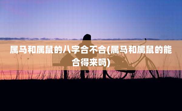 属马和属鼠的八字合不合(属马和属鼠的能合得来吗)