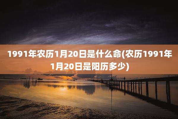1991年农历1月20日是什么命(农历1991年1月20日是阳历多少)