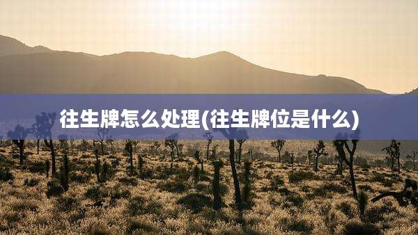 往生牌怎么处理(往生牌位是什么)