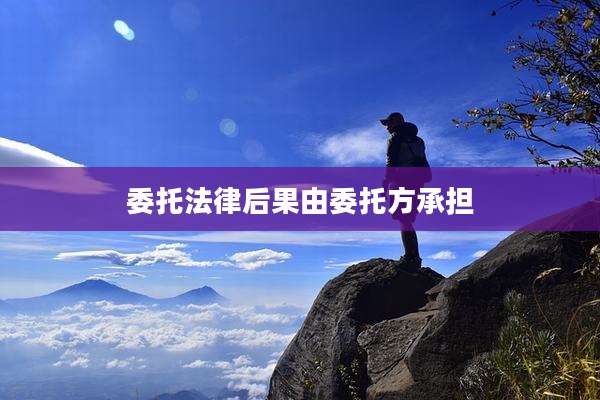 委托法律后果由委托方承担