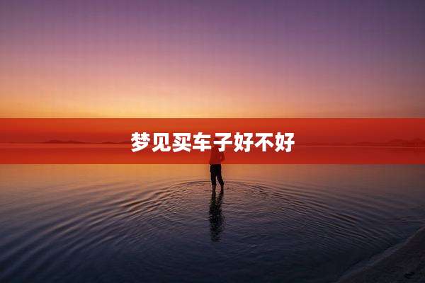 梦见买车子好不好